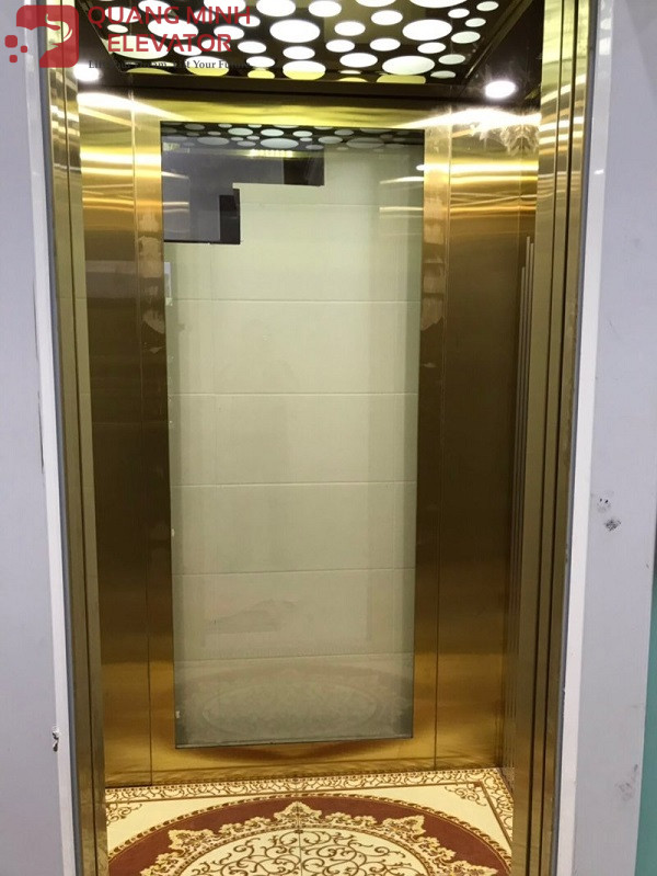 Thang Tải Khách 450 Kg - Khung Kính - DƯƠNG TỬ GIANG Q11 - Ảnh 4