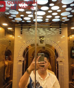 Alternative view of Thang Máy Tải Khách 550kg - Rạch Giá Kiên Giang