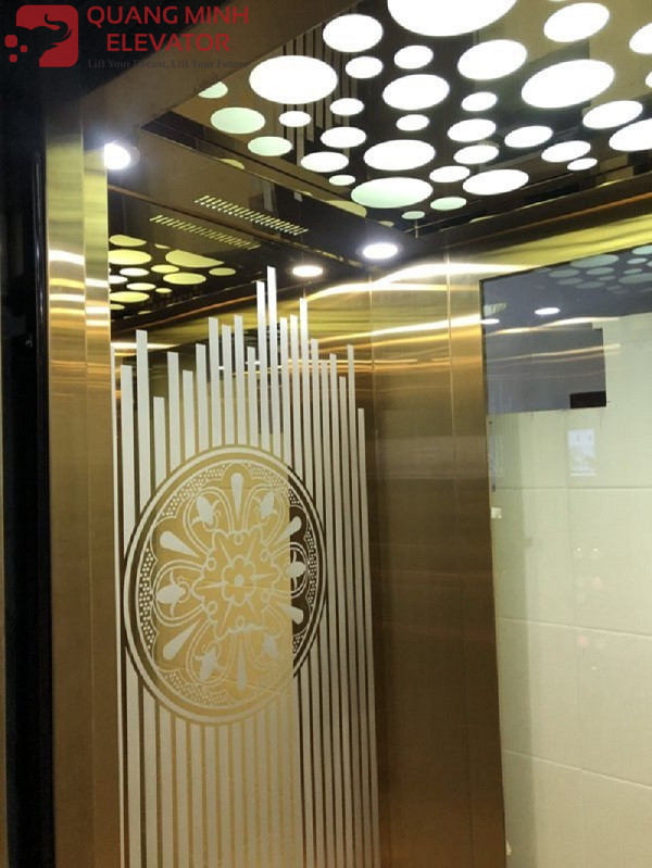 Thang Tải Khách 450 Kg - Khung Kính - DƯƠNG TỬ GIANG Q11 - Ảnh 2
