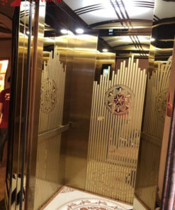 Alternative view of Thang Máy Tải Khách 630kg - Anh Mến Quận 12