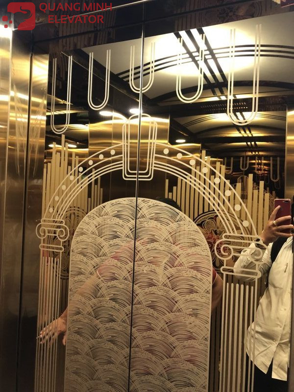 Thang Máy Tải Khách 630kg - Anh Mến Quận 12 - Ảnh 4