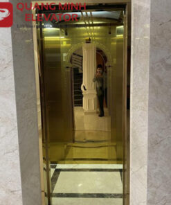 Thang Máy Tải Khách 480kg - Anh Phát Tân Tạo