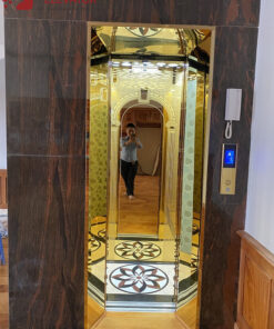 Thang Tải Khách 450 Kg - ANH PHƯƠNG LONG THÀNH