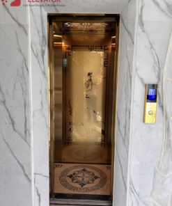 Thang Tải Khách 480 Kg - CHỊ ÁNH Q 12