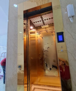 Thang Tải Khách 320 Kg - Khung Kính - TÂN THÀNH Q 5