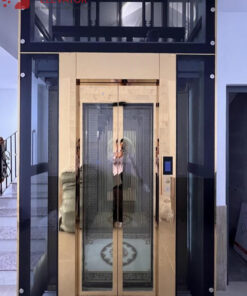 Thang Tải Khách 480 Kg - Khung Kính - CHỊ THU Q 12