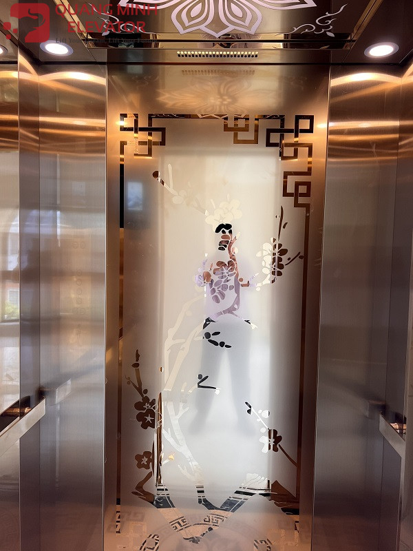 Thang Tải Khách 480 Kg - CHỊ ÁNH Q 12 - Ảnh 5