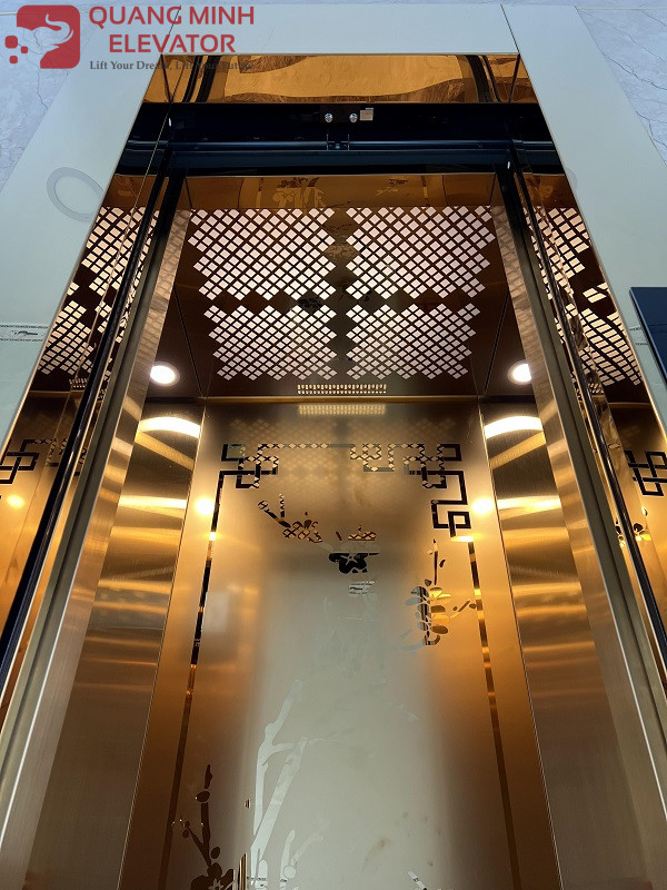 Thang Tải Khách 320 Kg - Khung Kính - TÂN THÀNH Q 5 - Ảnh 5