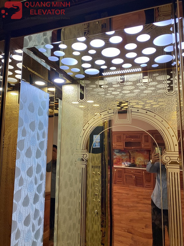 Thang Tải Khách 450 Kg - ANH PHƯƠNG LONG THÀNH - Ảnh 3