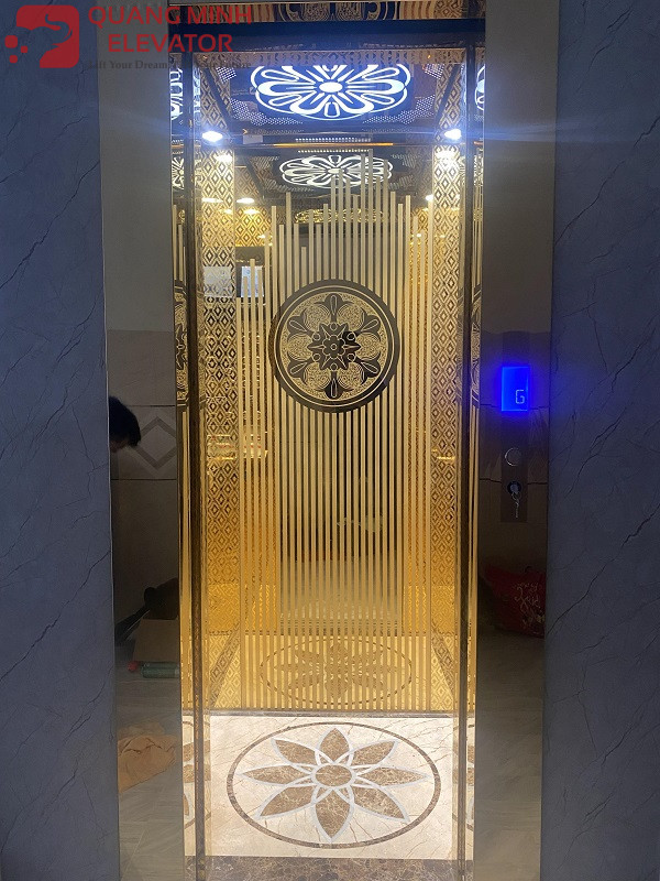 Thang Tải Khách 480 Kg - CHỊ HẰNG CẦN THƠ - Ảnh 3