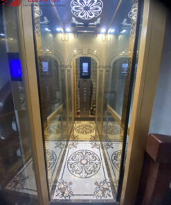 Thang Tải Khách 320 Kg - ANH KIÊN Q 12