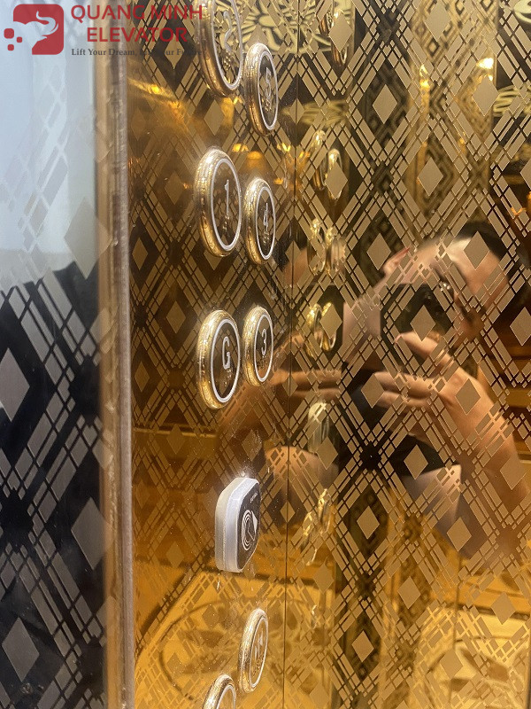 Thang Tải Khách 480 Kg - CHỊ HẰNG CẦN THƠ - Ảnh 2