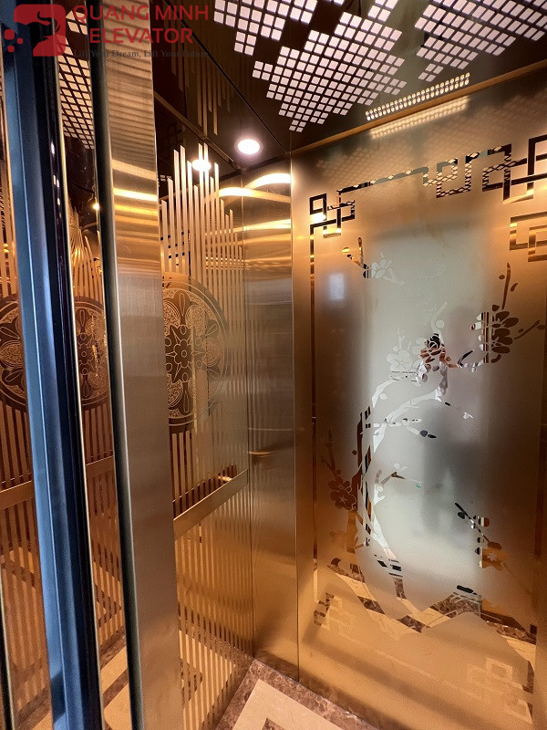 Thang Tải Khách 320 Kg - Khung Kính - TÂN THÀNH Q 5 - Ảnh 3