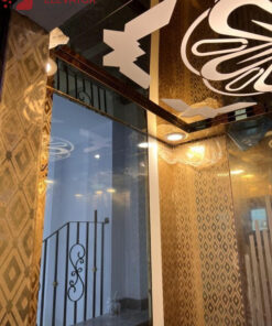 Alternative view of Thang Tải Khách 480 Kg - Khung Kính - CHỊ THU Q 12