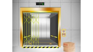 thang nâng hàng 250kg