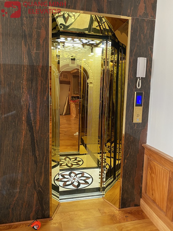 Thang máy gia đình vân gỗ